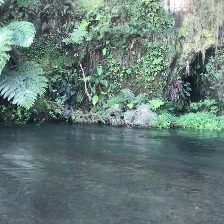 A1 Troutfishing At Tirau Villa Bagian luar foto