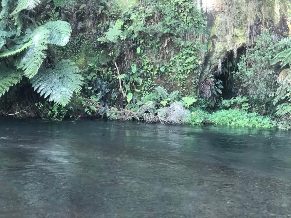 A1 Troutfishing At Tirau Villa Bagian luar foto